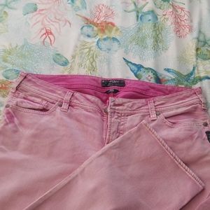 Silver suki capri pants